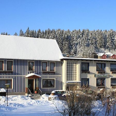 Haus Gruene Insel - Ferienwohnungen Altenau  Exteriér fotografie