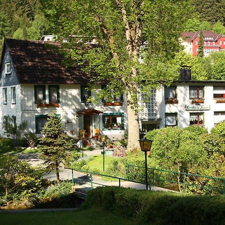 Haus Gruene Insel - Ferienwohnungen Altenau  Exteriér fotografie