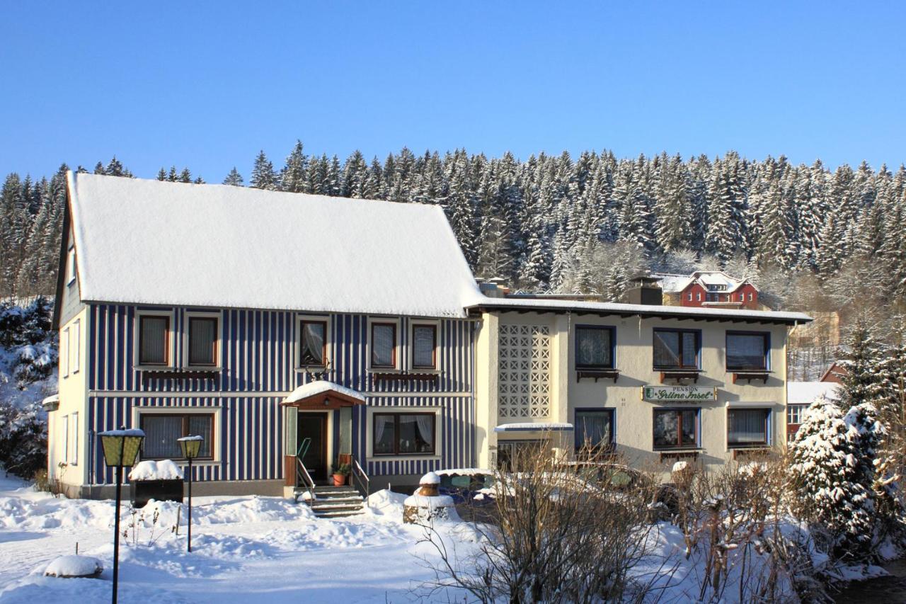 Haus Gruene Insel - Ferienwohnungen Altenau  Exteriér fotografie