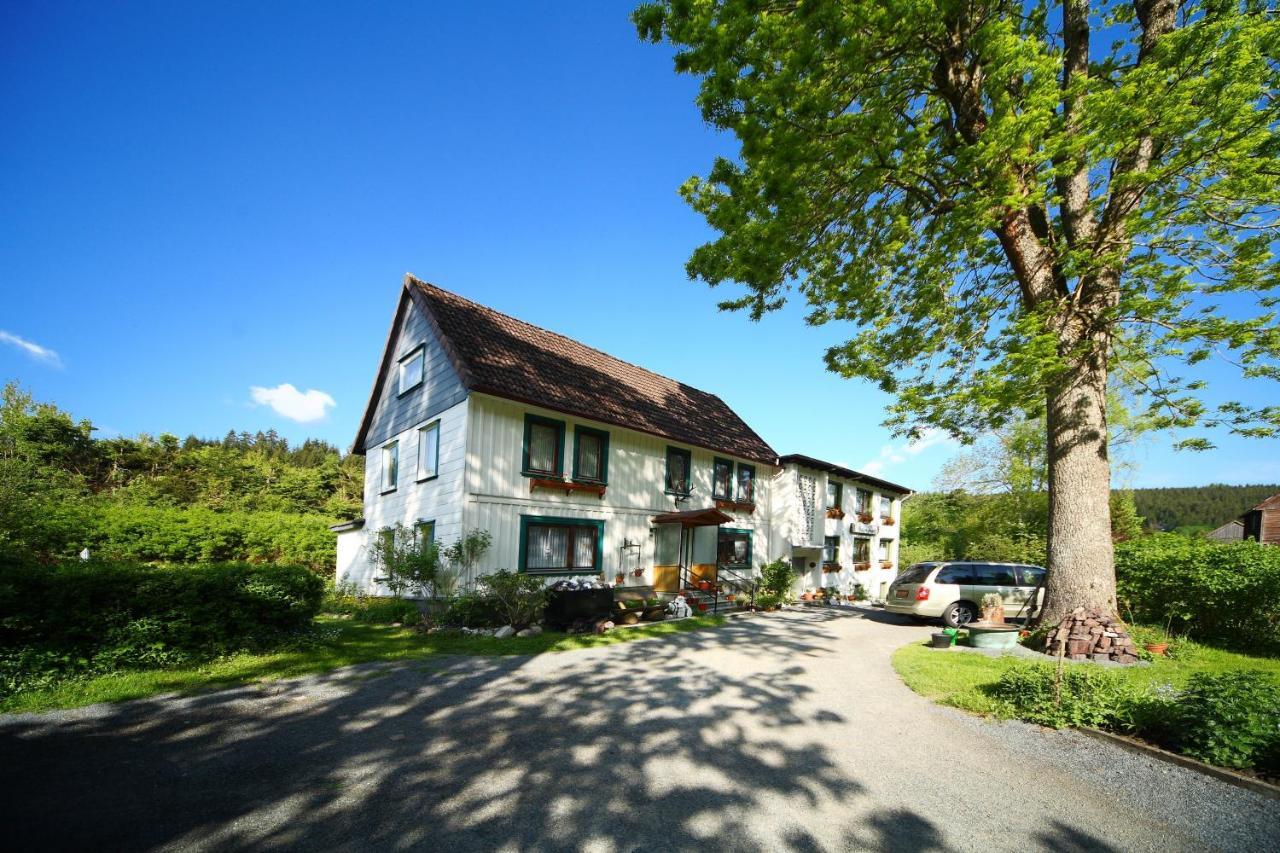 Haus Gruene Insel - Ferienwohnungen Altenau  Exteriér fotografie