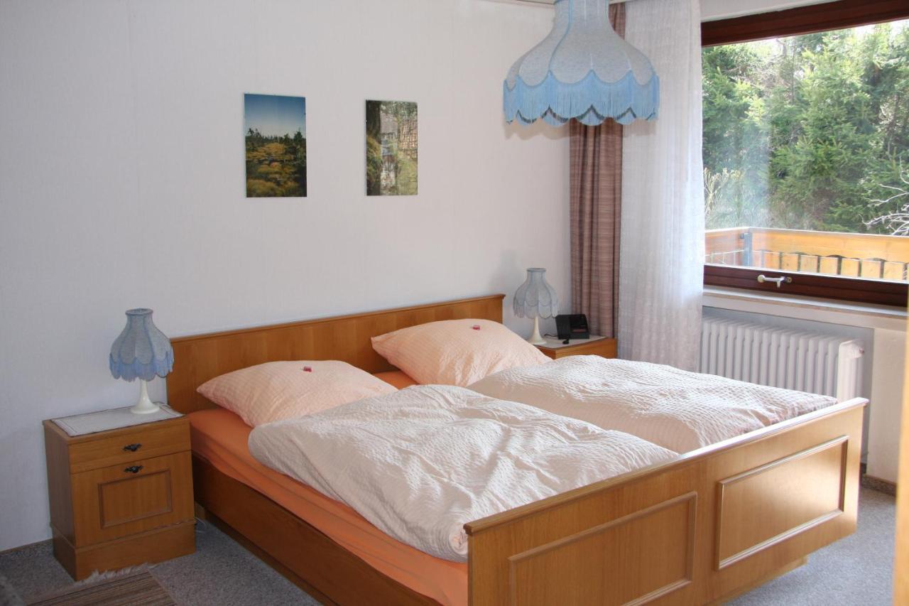 Haus Gruene Insel - Ferienwohnungen Altenau  Exteriér fotografie