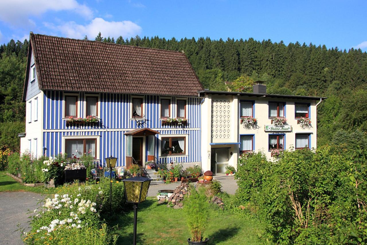 Haus Gruene Insel - Ferienwohnungen Altenau  Exteriér fotografie